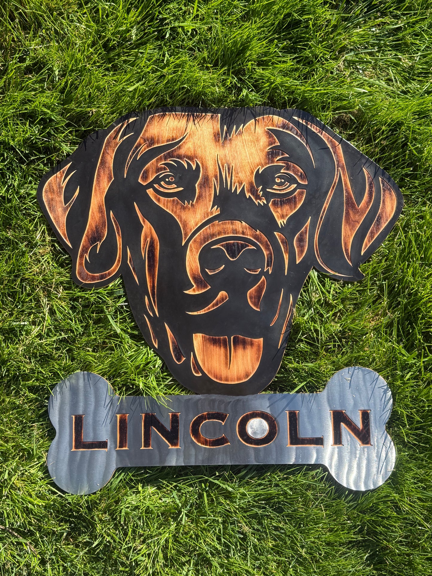 24" Custom Lab Portrait