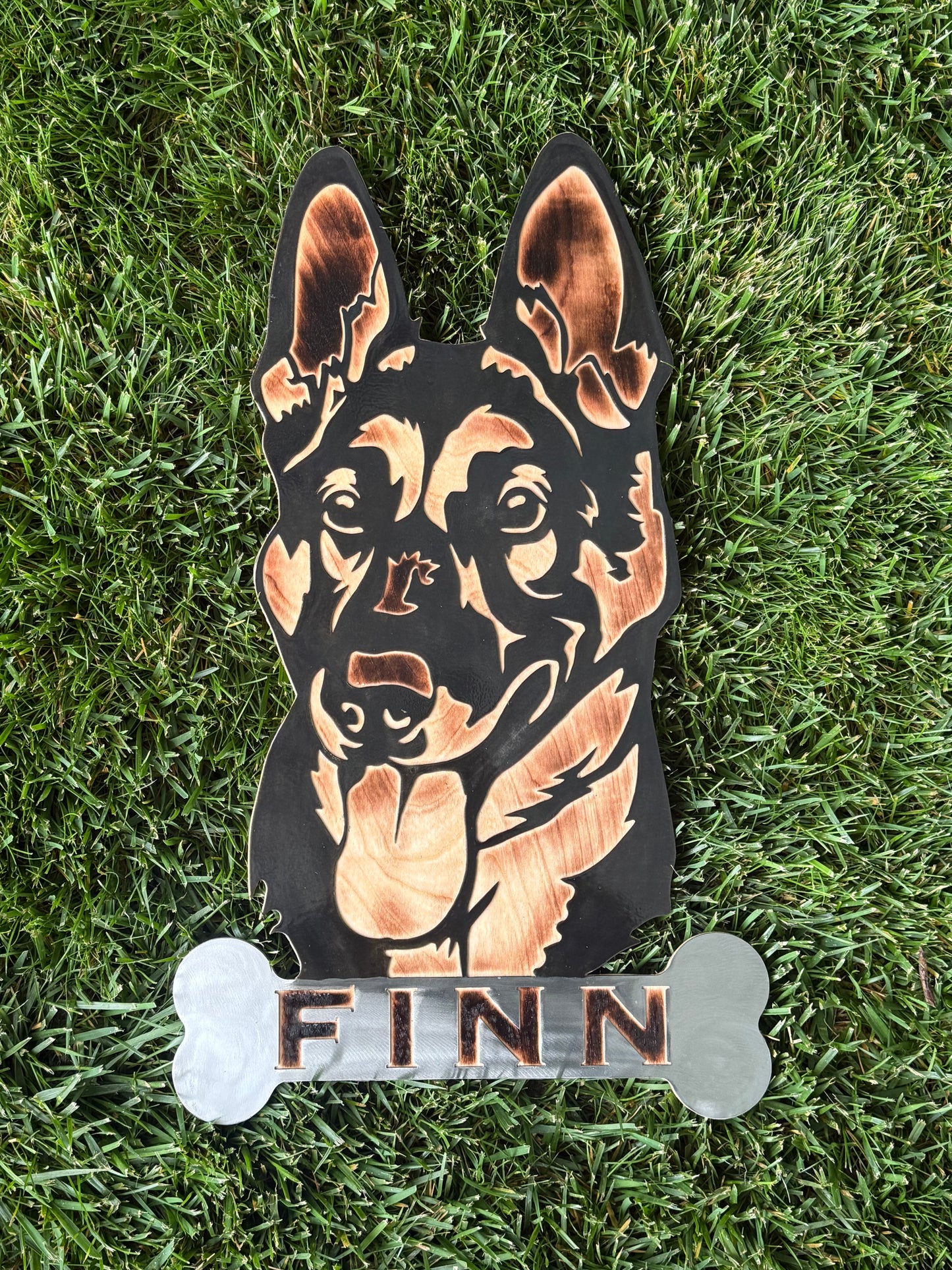 24" Custom Malinois Portrait