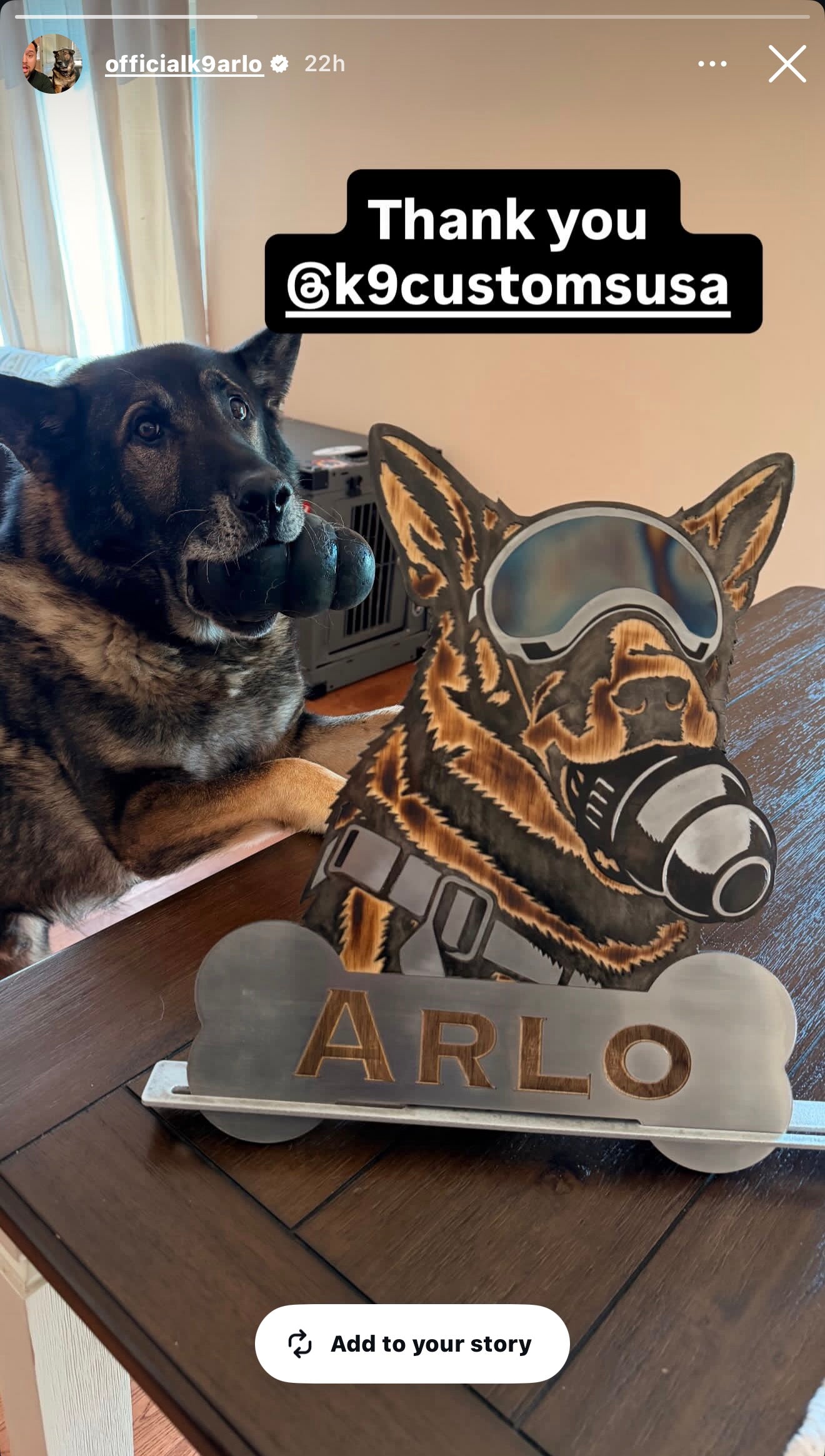 20" Custom Dog Portrait